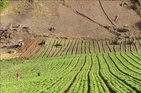 Sendero Los Quetzales